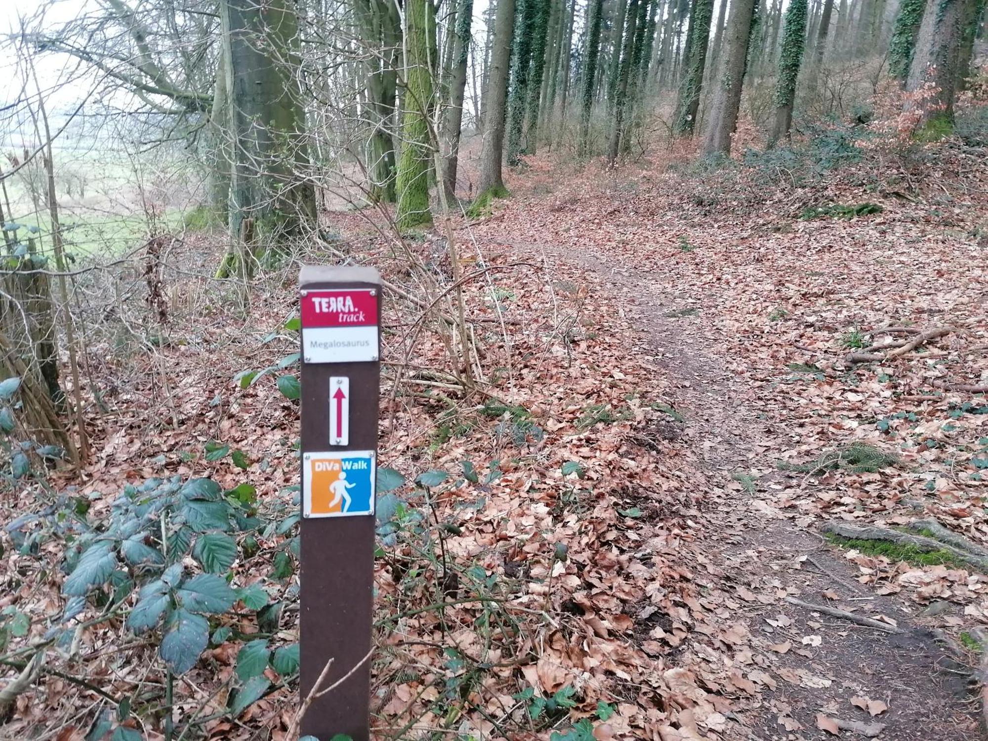 Ferienwohnung Waldblick Bad Essen Buitenkant foto