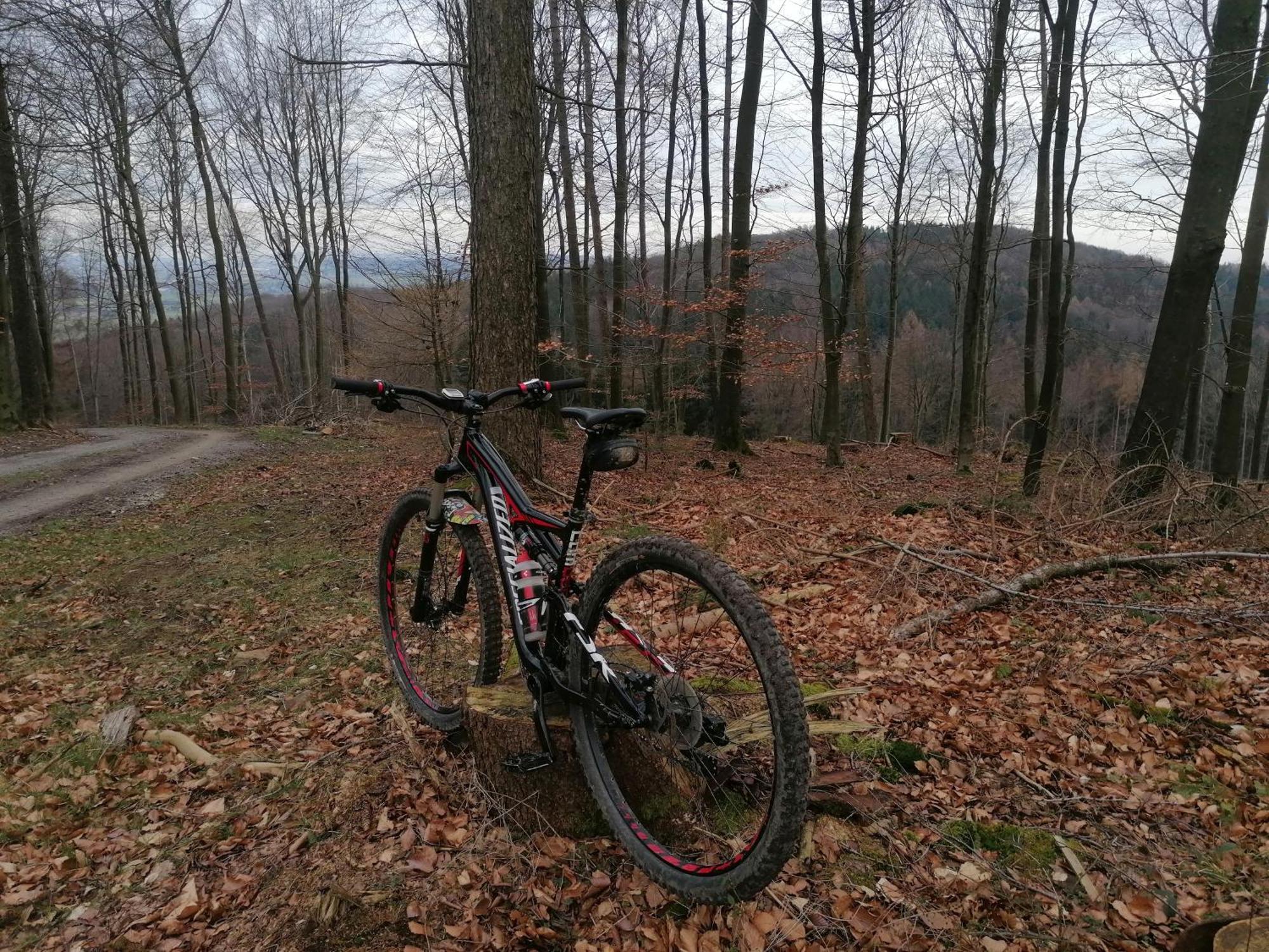 Ferienwohnung Waldblick Bad Essen Buitenkant foto