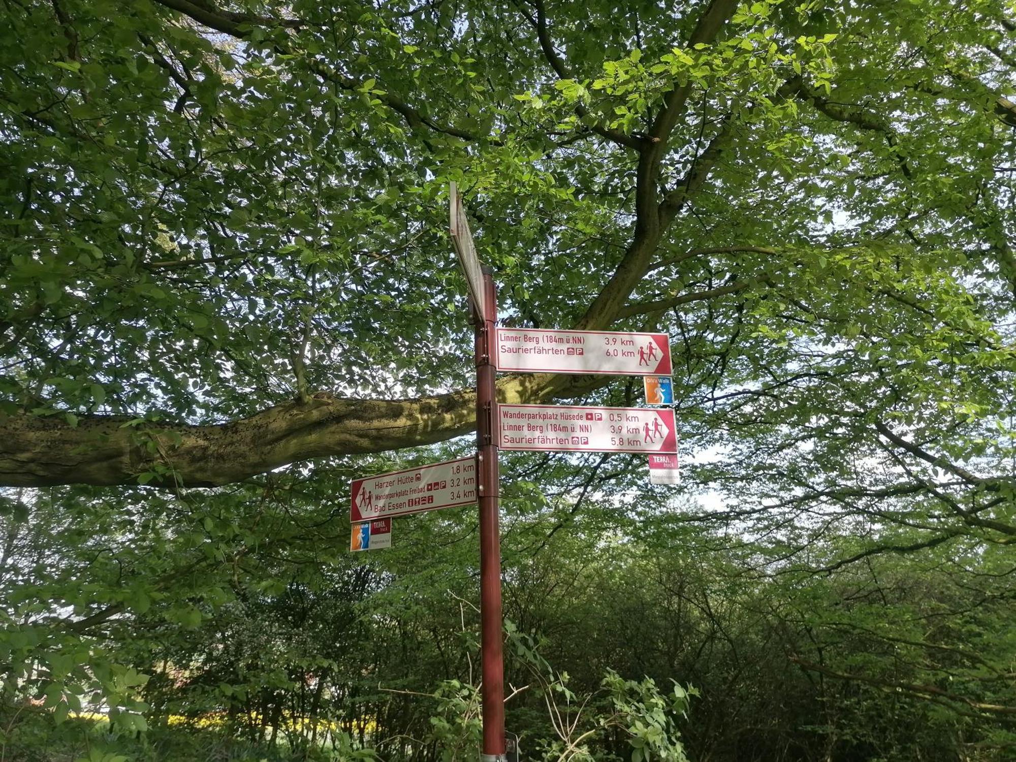 Ferienwohnung Waldblick Bad Essen Buitenkant foto